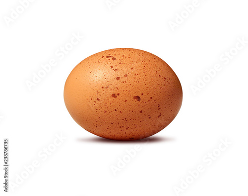 brown egg on white background
