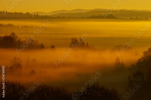 Sunrise in the forest. Bieszczady Mountains. Poland