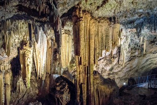 Canvas Print _RMN5493.jpg