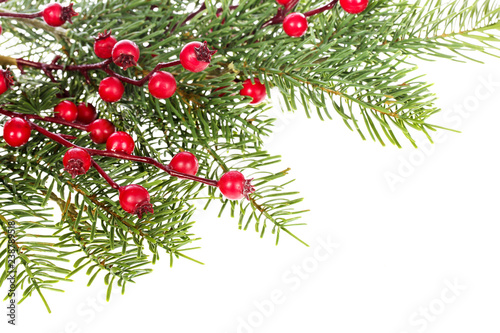 Close up of Christmas decoration isolated on white background. Artificial holly berries and pine twigs