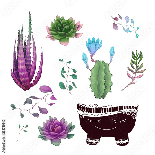 Potted cacti and succulents plants badge collection set.