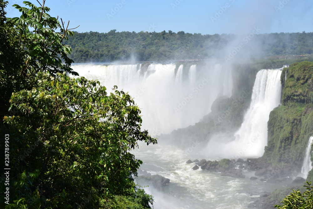 Fototapeta premium iguaçu