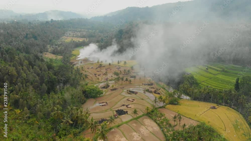 Rice terraces, coconut palms and forest in Bali. Aerial video Rice terraces, coconut palms and forest in Bali. Aerial video