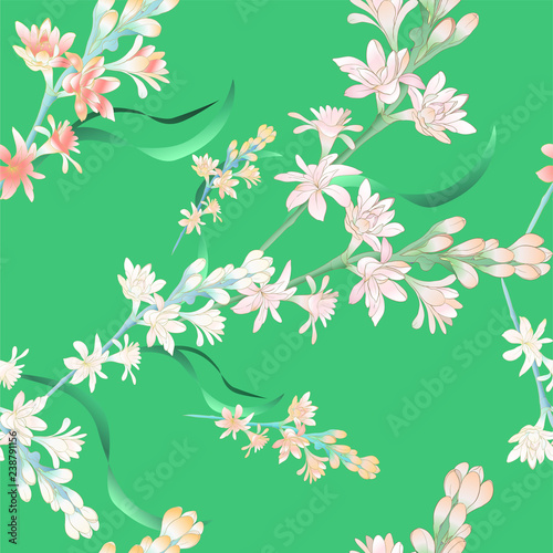 Tuberose - branches. Vector. Seamless pattern. medicinal, perfumery and cosmetic plants. Wallpaper. Use printed materials, signs, posters, postcards, packaging. 