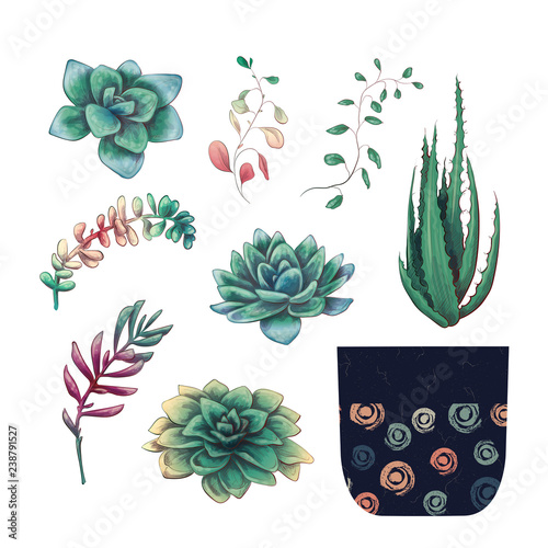 Potted cacti and succulents plants badge collection set.