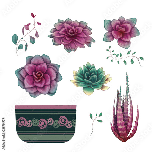 Potted cacti and succulents plants badge collection set.