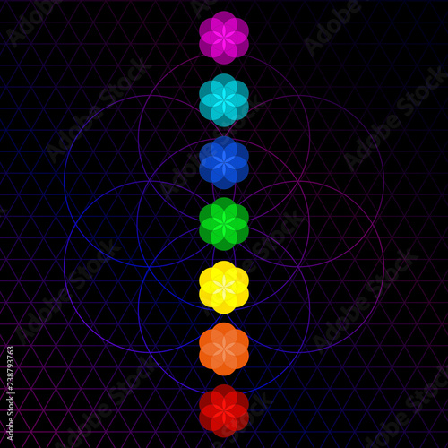 Glowing Flower of Life