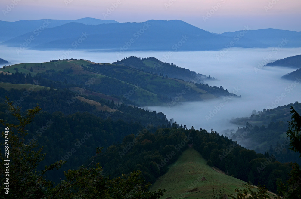Morning fog in the mountains of the Carpathians
