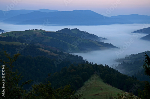 Morning fog in the mountains of the Carpathians © Nataliia