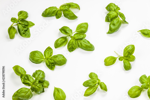 Multiple basil leaves isolated, aerial view