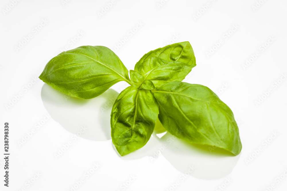 Obraz premium Basil leaves isolated on white background