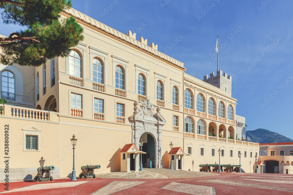 Prince's Palace of Monaco. Prince of Monaco's residence.