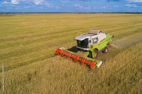 Combine harvesting oats in the field