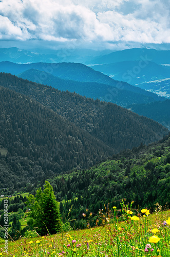 Landscape from the height of the mountain slopes, the blue distance, meadow, lonely tree. Ukraine The Carpathians.