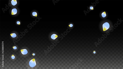 Vector Realistic Blue Petals Falling on Transparent Background.  Spring Romantic Flowers Illustration. Flying Petals. Sakura Spa Design. Blossom Confetti.