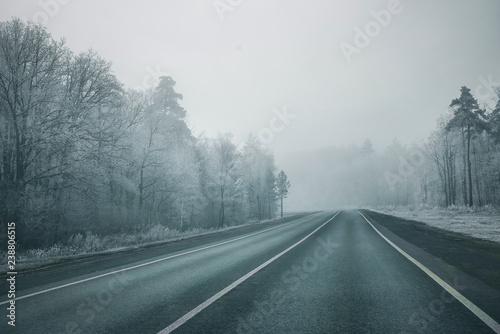road in the fog through frosted forest