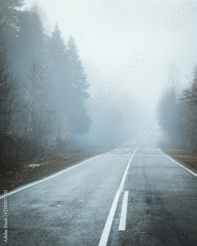 road to fog