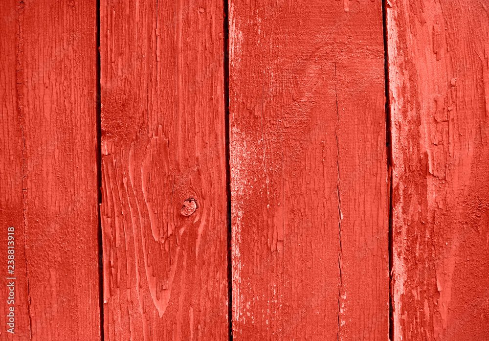 Fototapeta premium Coral color Wood texture. Surface of wood plank background.