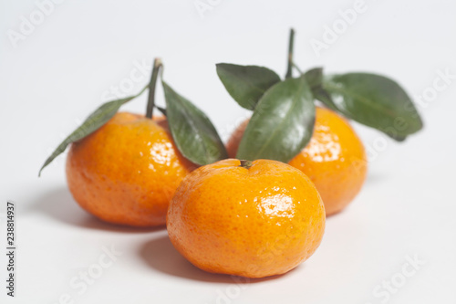 Ripe mandarins with green leaves