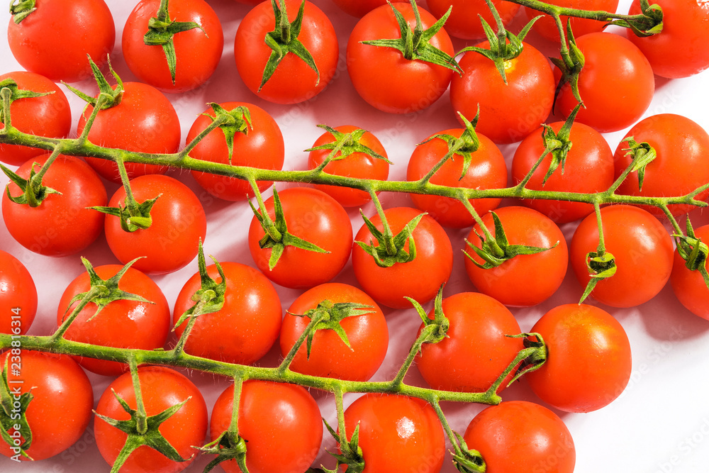 fresh ripe tomatoes fresh ripe tomatoes