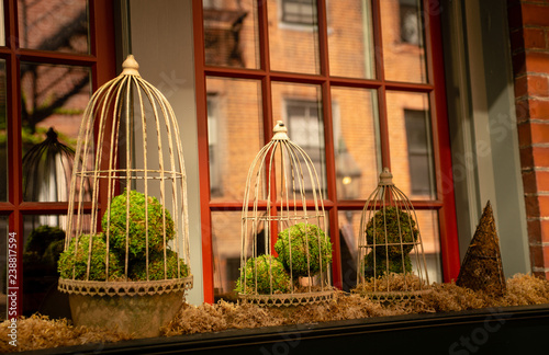 Window Planter