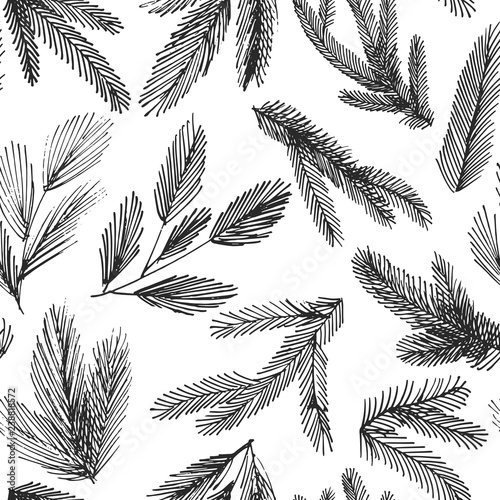 Seamless pattern with vector spruce branches. Winter and Christmas decoration. Hand drawn ornament for wrapping paper. 