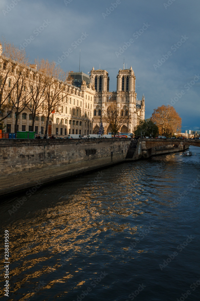 view of the Notre Dame Cathedral and the Seine River