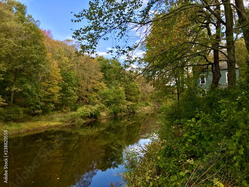 green trees reflected in still river with house