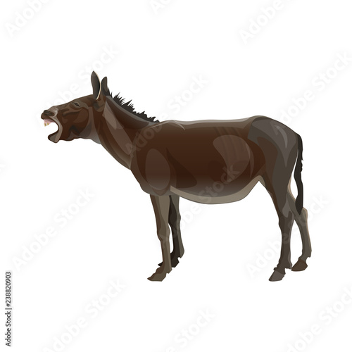 Screaming donkey vector