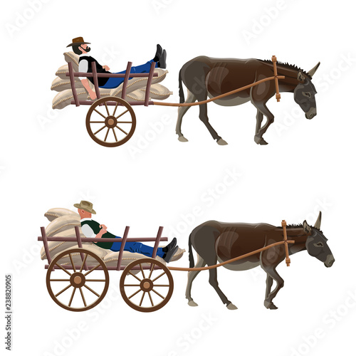 Donkey cart with lying man