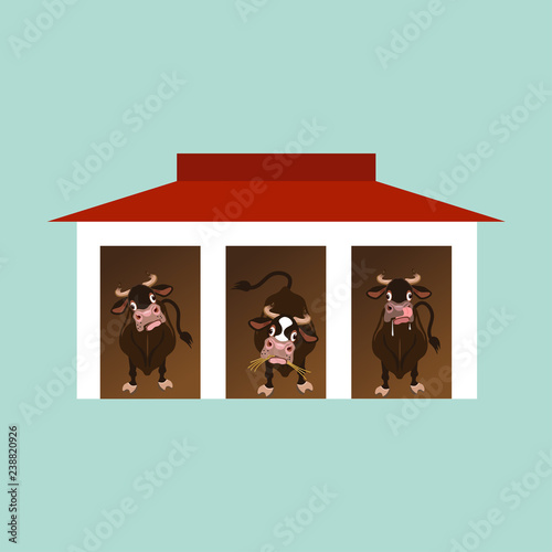 Cows inside the barn