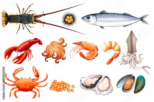 Set of fresh seafood