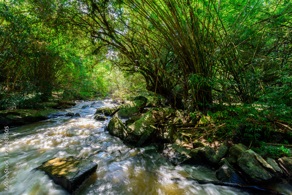 Fototapeta premium Beautiful waterfall in natural 