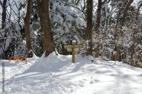 高尾山の雪