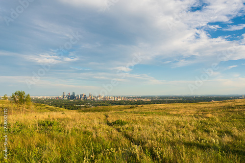 Calgary in afternoon from nose hill