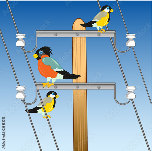 Pole with wire and bird sitting on him