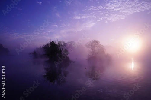 朝靄と池の中に浮かぶ浮島公園の風景