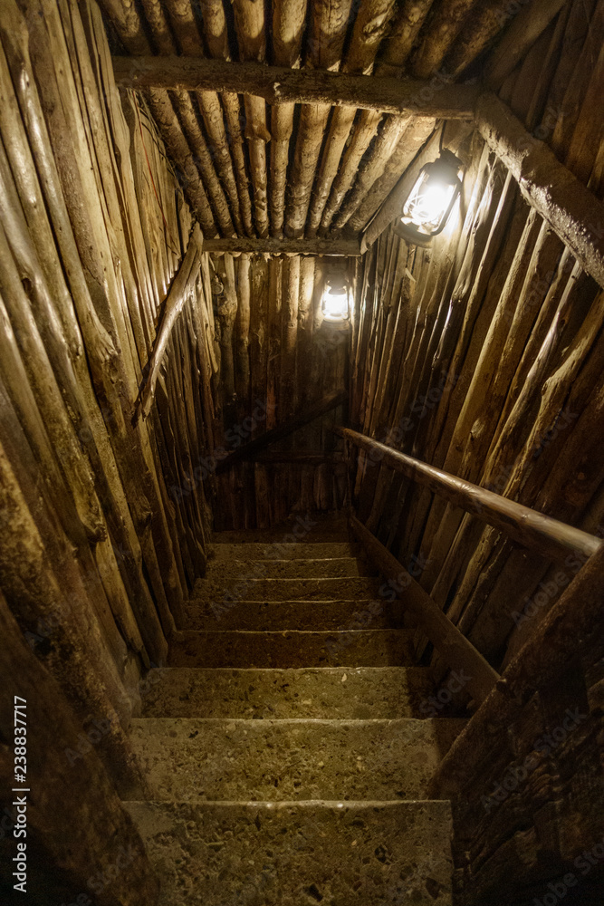 Staircase in log cabin