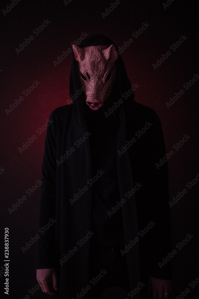 Scary person in pig mask Stock Photo | Adobe Stock