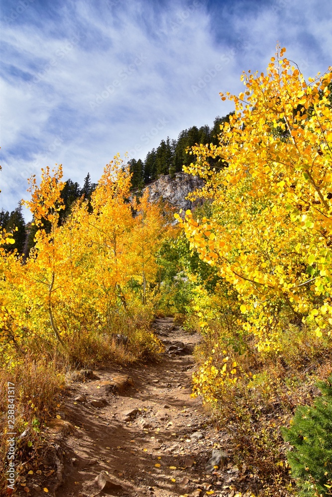 Naklejka premium Silver Lake by Solitude and Brighton Ski resort in Big Cottonwood Canyon. Panoramic Views from the hiking and boardwalk trails of the surrounding mountains, aspen and pine trees in brilliant fall autu