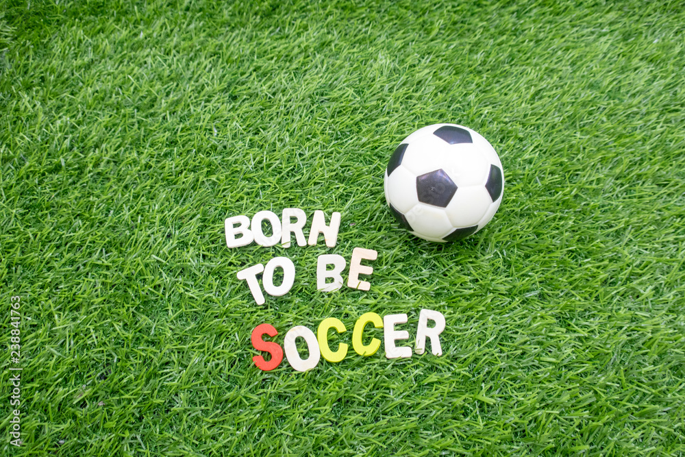 Obraz premium Soccer born to be soccer with football on green grass