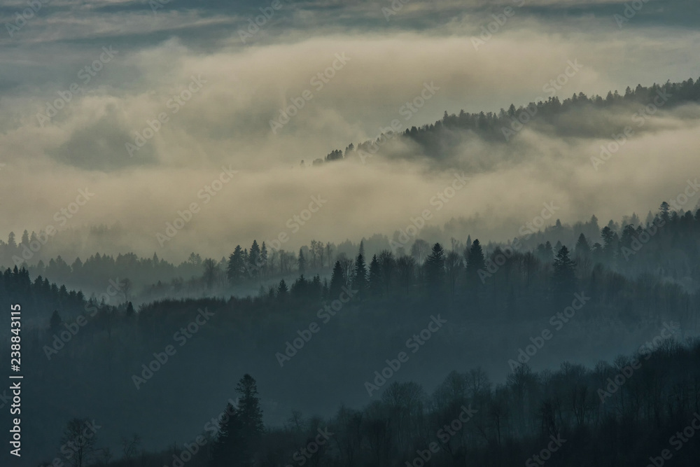 Fototapeta premium Clouds over the forest. Bieszczady Mountains.