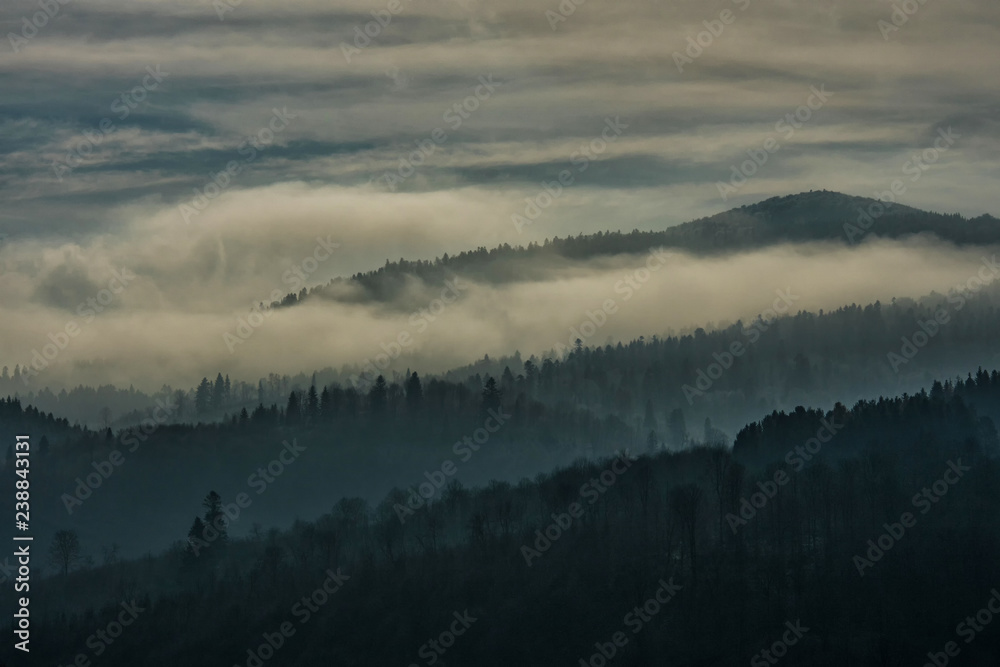 Clouds over the forest. Bieszczady Mountains.