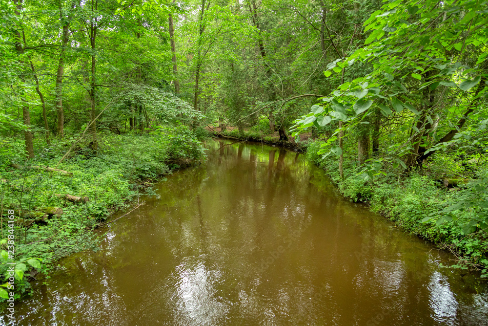 Stoney Creek, a tributary of southeastern Michigan's Clinton River, gently flows through the park named after it: Stoney Creek Metropark. Stoney Creek, a tributary of southeastern Michigan's Clinton River, gently flows through the park named after it: Stoney Creek Metropark.