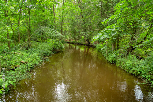 Stoney Creek, a tributary of southeastern Michigan's Clinton River, gently flows through the park named after it: Stoney Creek Metropark.