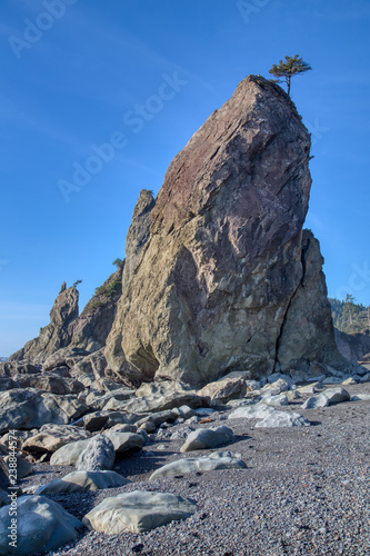 Sea stacks at Rialto Beach, Washington, on Washington's Pacific coast.