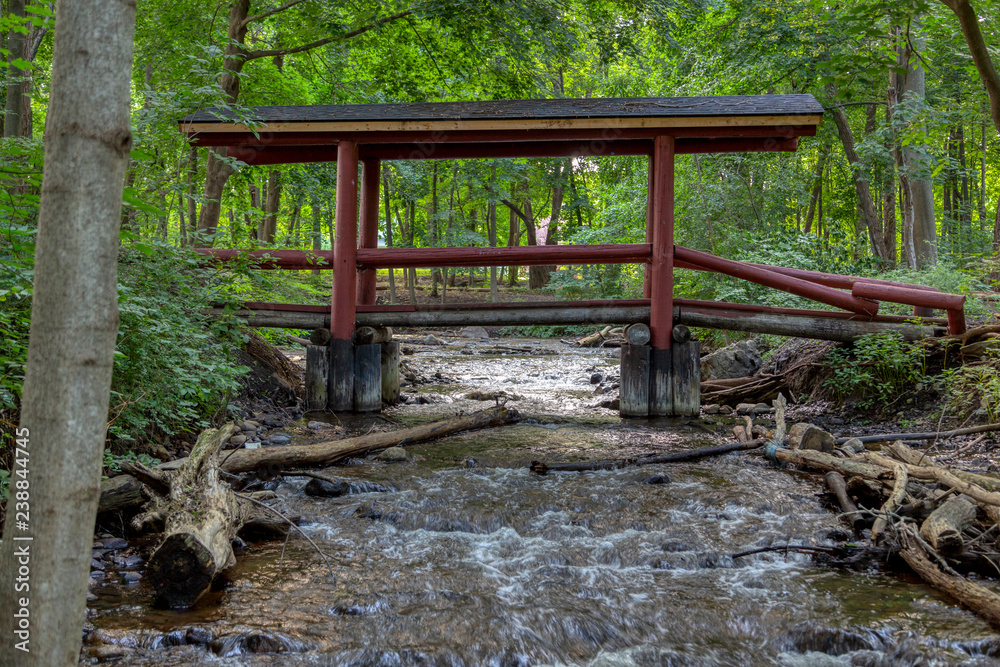 A wooden footbridge crosses a tributary of the Huron River in Mill Pond Park, Commerce Township, Michigan.