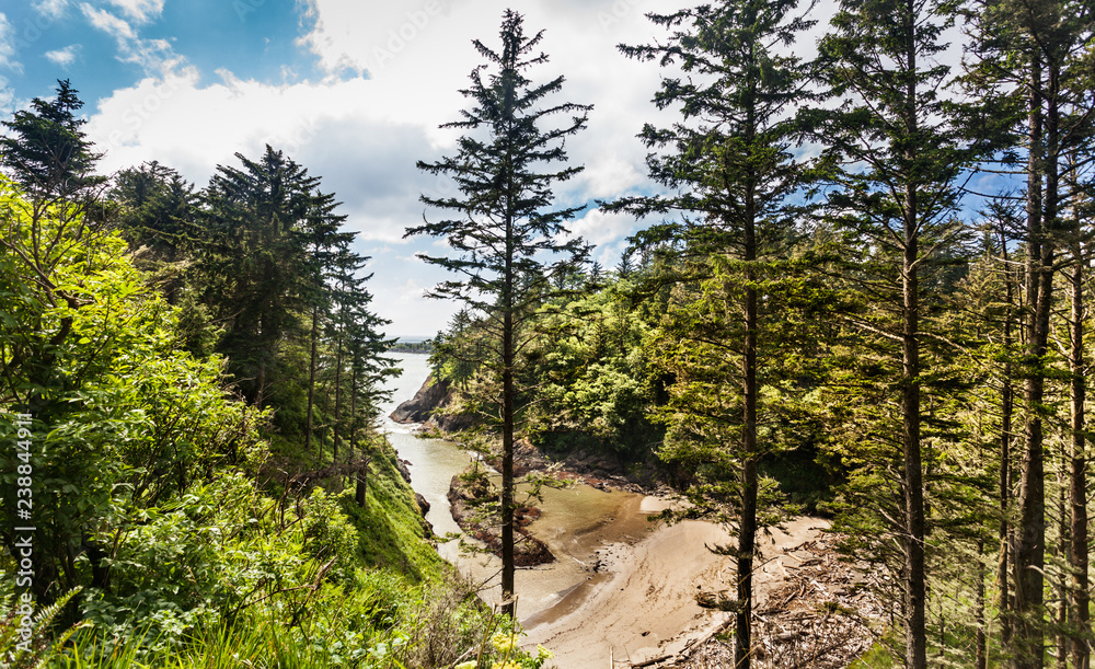 Deadman's Cove, viewed from the path along the cliff to Cape Disappointment lighthouse, Long Beach, Washington