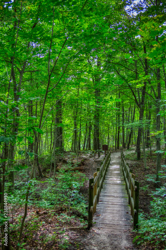 Wooden footbridge across a shallow ravine in the woods in Kensington Metropark, Milford, Michigan.