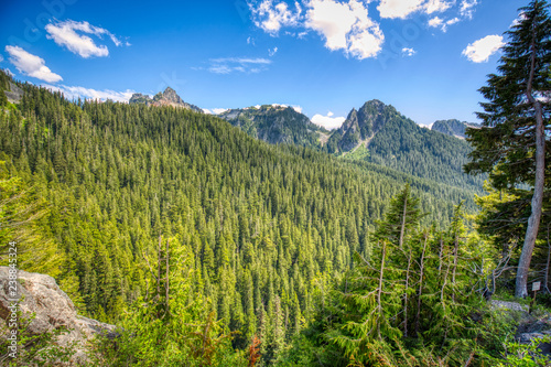 Thousands of acres of old growth forest can be seen from scenic overviews, like this one, in Mt. Rainier National Park.
